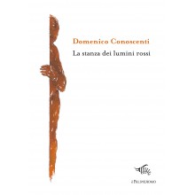 La stanza dei lumini rossi | Domenico Conoscenti